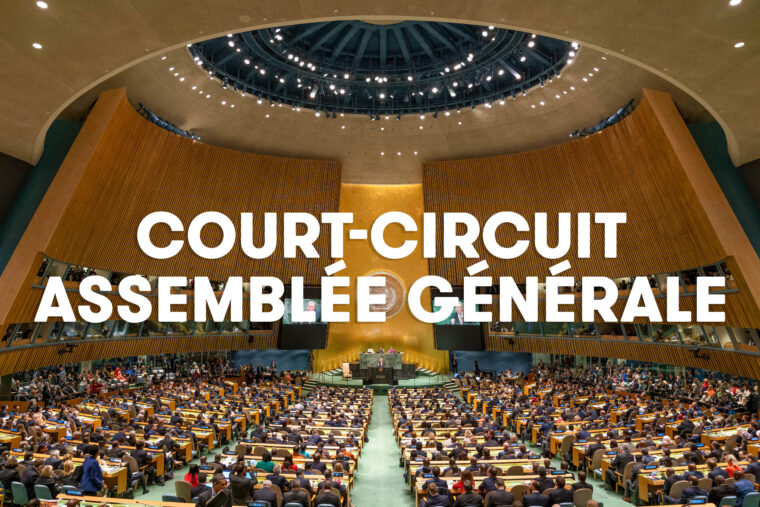 asbl court circuit-
